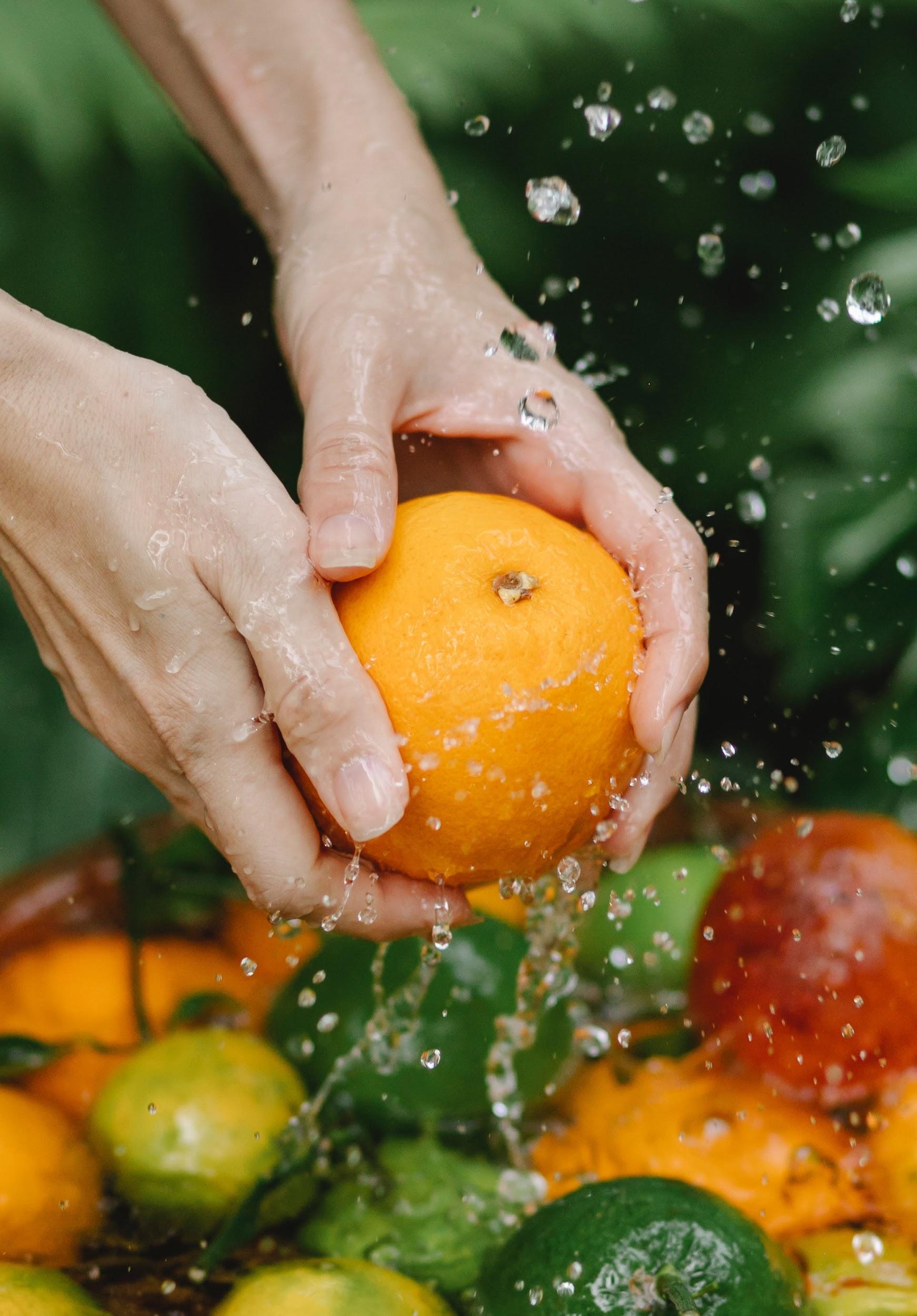 Navel Oranges 